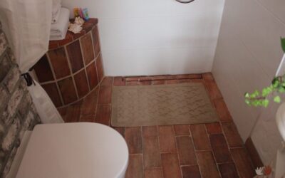 Bodenziegel mit Handstrich