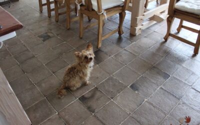 antike Fliesen, Bodenfliesen