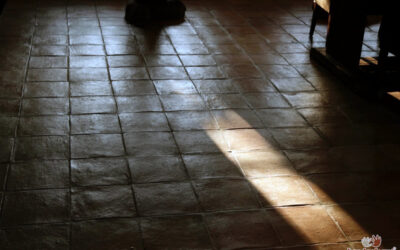 Tonfliesen nach dem Wachsen