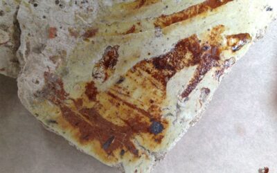 Baukeramik Bodenfliesen