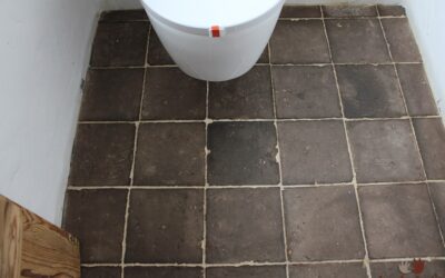 dunkle antike Badfliesen im WC