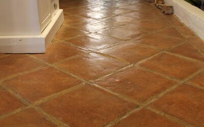 Tonfliesen Backsteine Bodenplatten