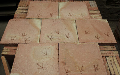 Landhausfliesen Terracotta Boden besondere Muster Vogel