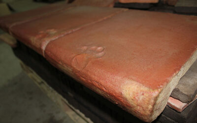 Landhausfliesen Terracotta Treppenstufen Fliesen Abdruck Hund
