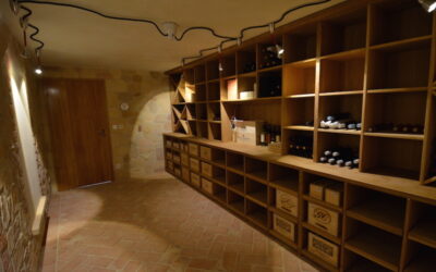 Terracotta Bodenfliesen Keller