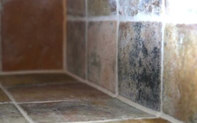 Bodenfliesen scheckig