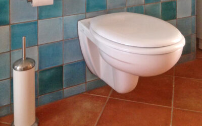 blaue Wandfliesen und rote Bodenfliesen im Bad