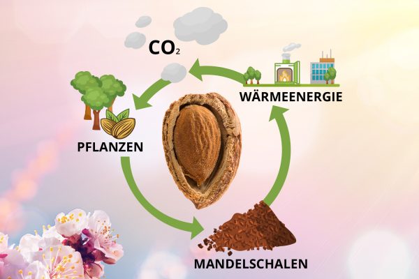 Fliese nachhaltig Fliesen nachhaltig