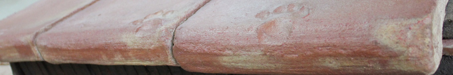 Haustiere Bodenbelag Fliesen Tierpfoten Haustiere Bodenbelag Fliesen Tierpfoten