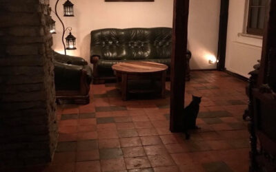 antike Fliesen, Zimmer