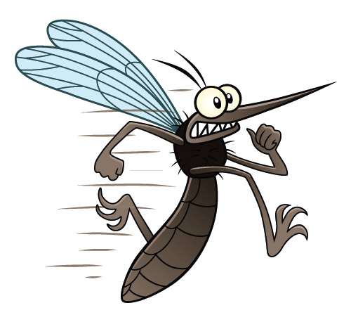 Terrasse Mückenfrei