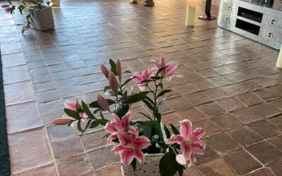 Braune Wohnzimmerfliesen